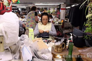 總統的裁縫 一針一線中的權力與沉淀