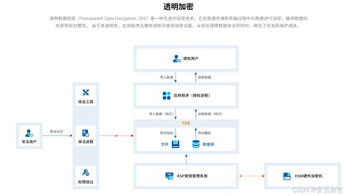 基于TDE透明加密技術(shù)實(shí)現(xiàn)服務(wù)器配置與審計(jì)數(shù)據(jù)的加密存儲(chǔ)